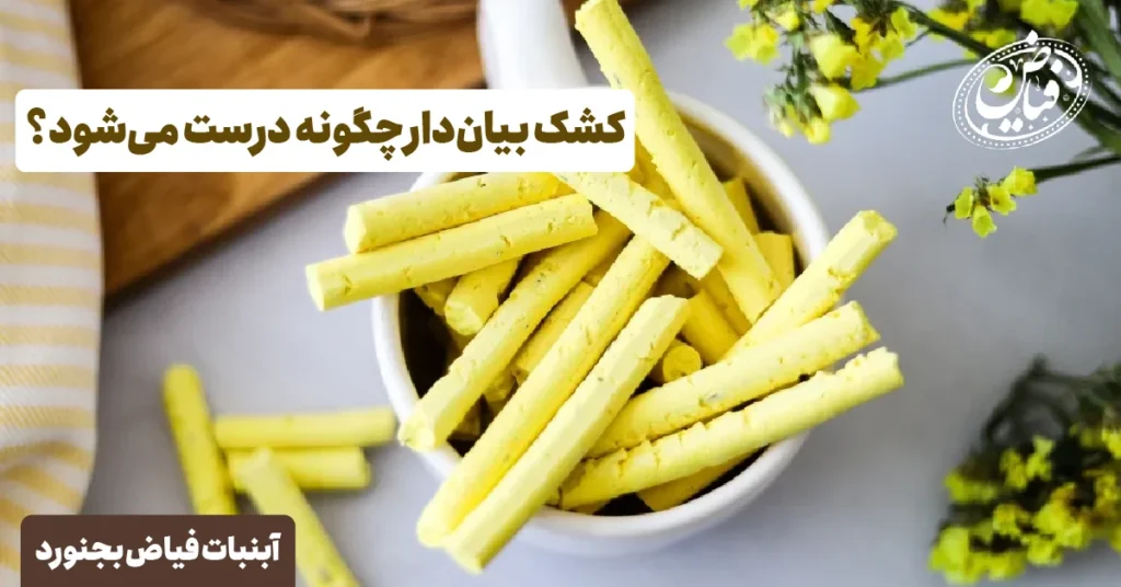 کشک بیان دار چیست؟